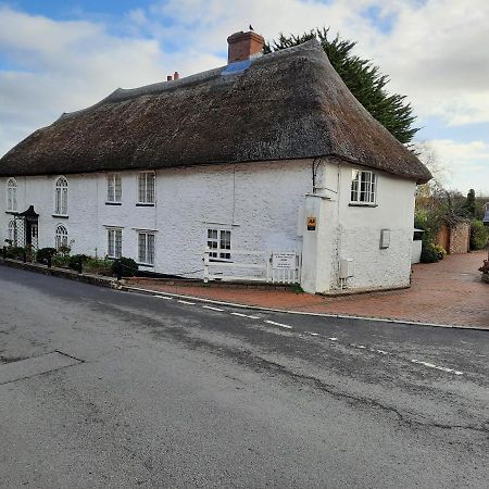 The White Cottage Colyton Εξωτερικό φωτογραφία